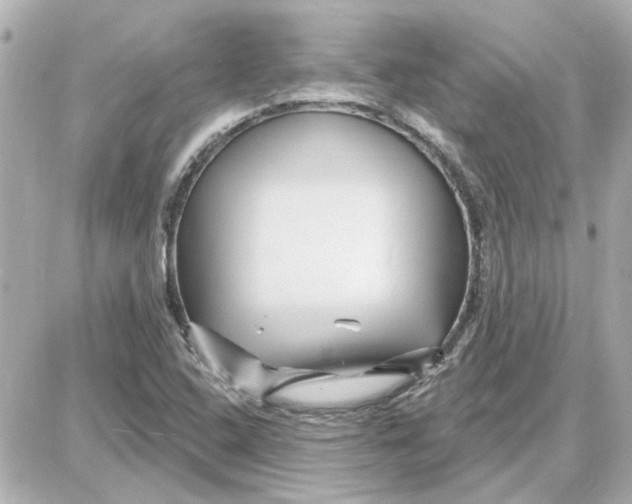 X0000087681408200705251632