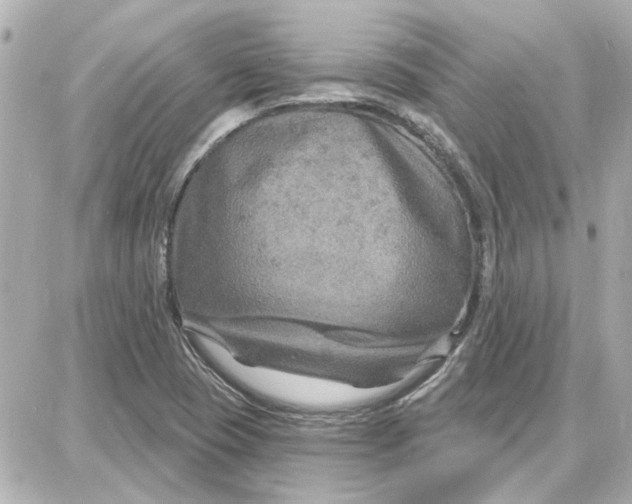 X0000087681409200705251632