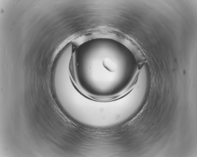 X0000087681410200705251632