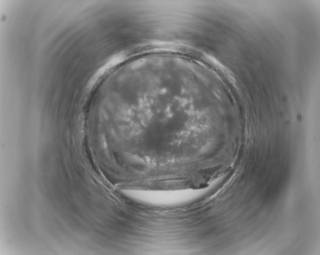 X0000087681411200705251632