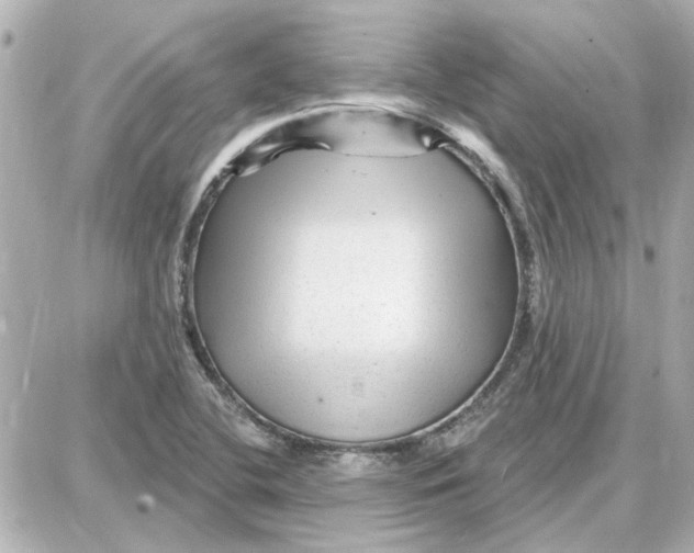 X0000087681412200705251632