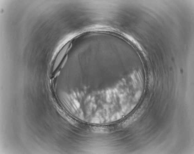 X0000087681413200705251632