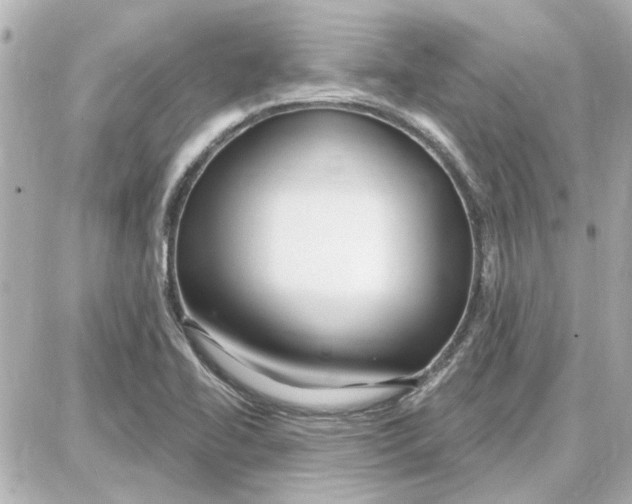 X0000087681414200705251632