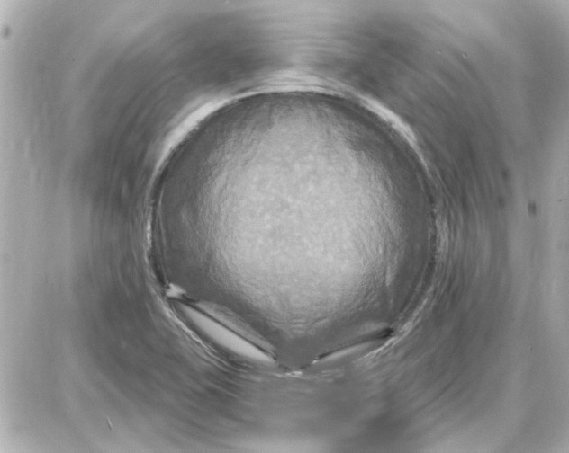 X0000087681415200705251632