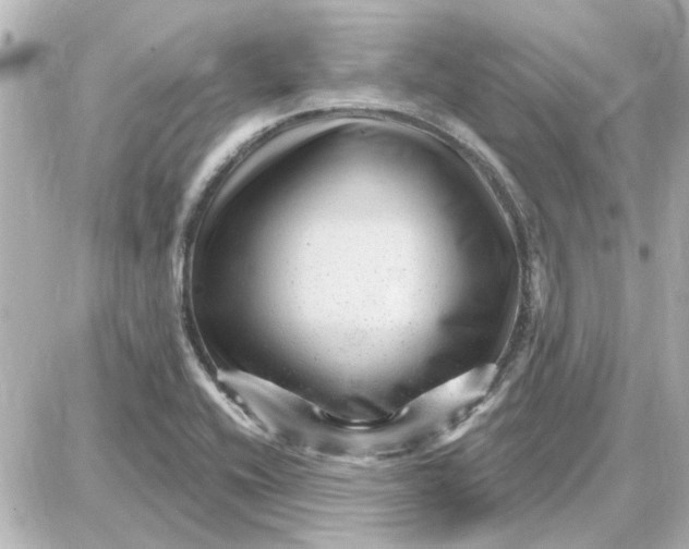 X0000087681416200705251632