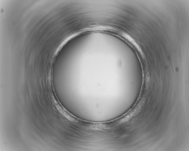 X0000087681417200705251632