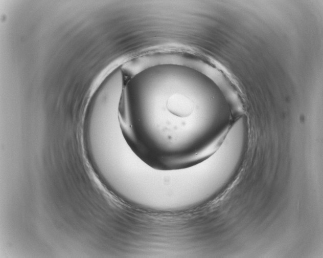 X0000087681418200705251632