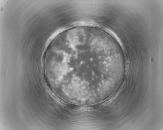 X0000087681419200705251632