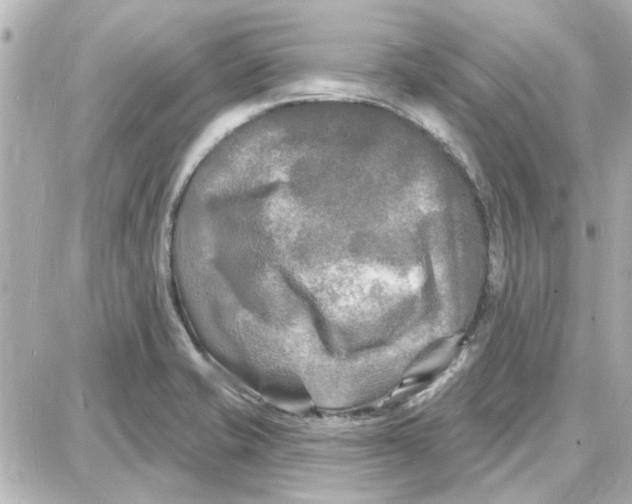 X0000087681421200705251632