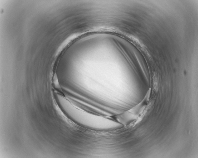 X0000087681422200705251632