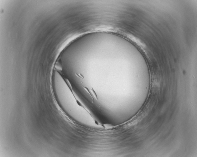 X0000087681423200705251632