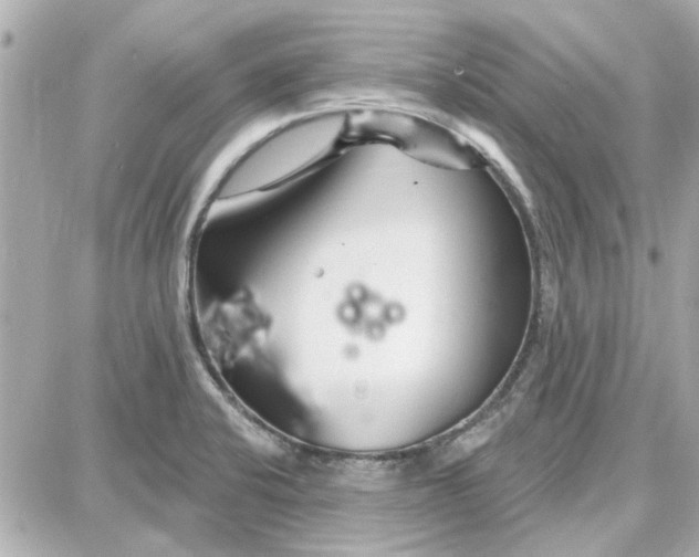 X0000087681424200705251632