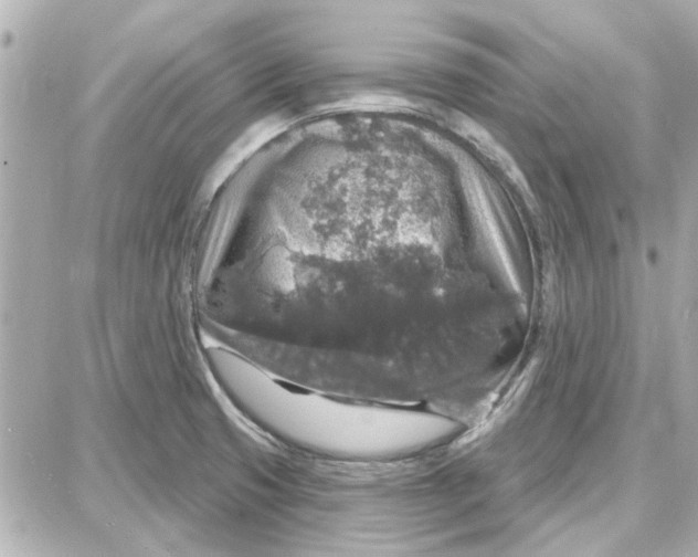 X0000087681425200705251632