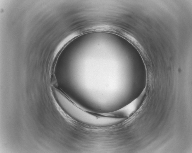 X0000087681426200705251632