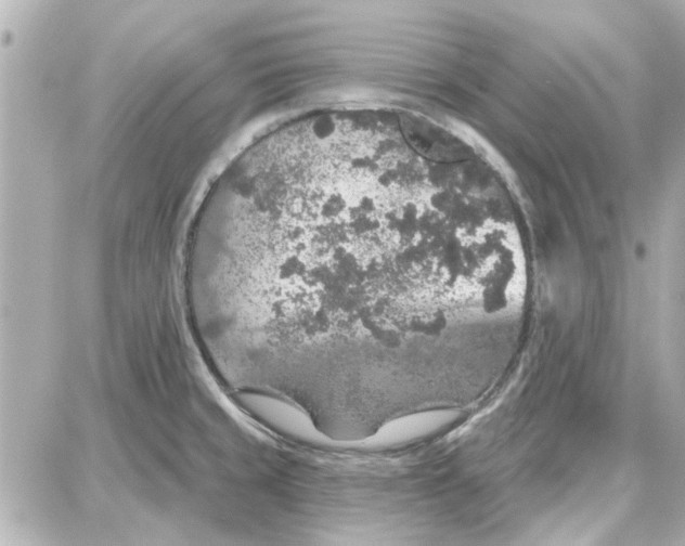 X0000087681429200705251632