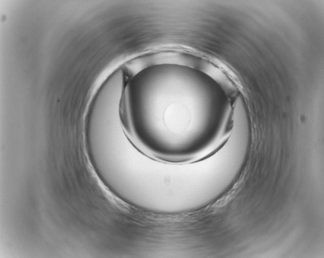 X0000087681430200705251633