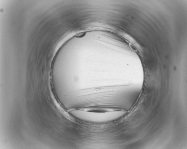 X0000087681431200705251633