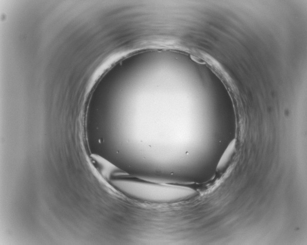 X0000087681432200705251633