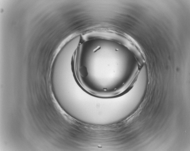 X0000087681434200705251633