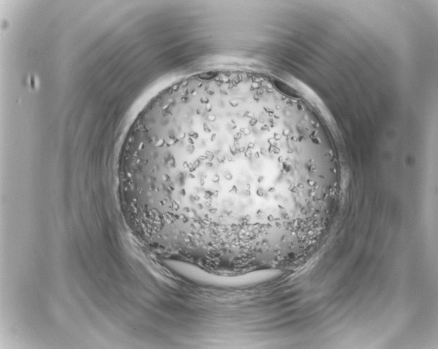 X0000087681435200705251633