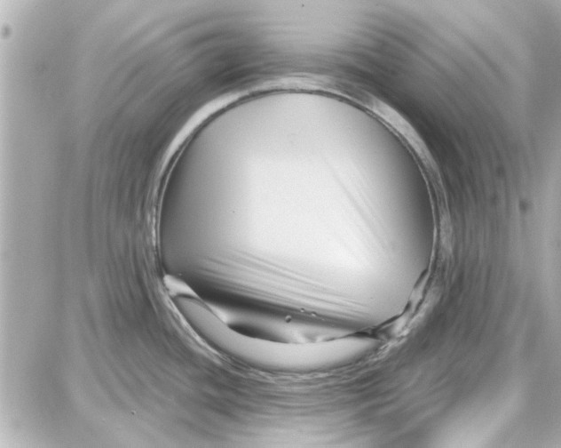 X0000087681436200705251633