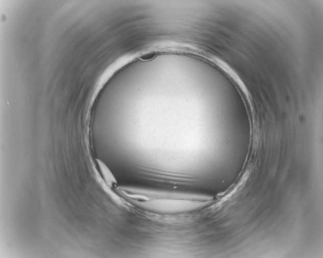 X0000087681437200705251633