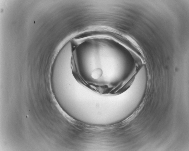 X0000087681438200705251633