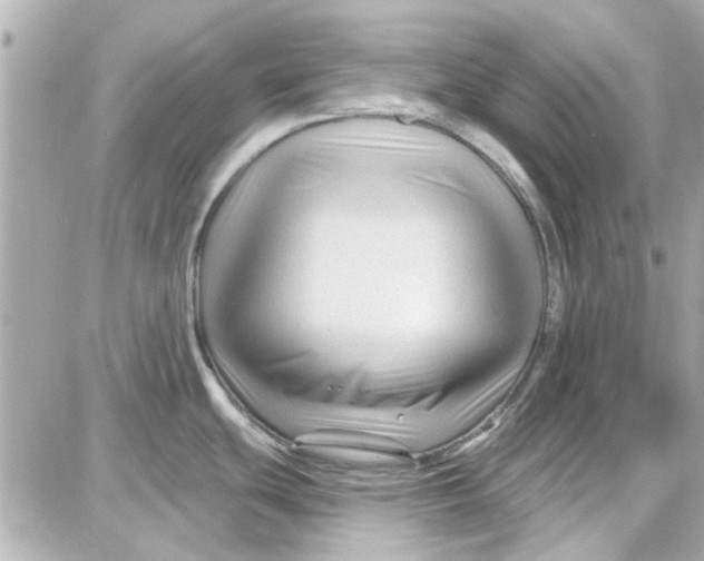 X0000087681439200705251633