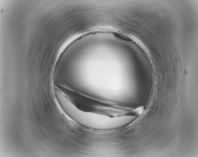 X0000087681440200705251633