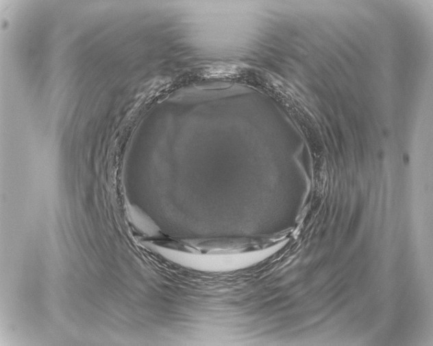 X0000087681441200705251632