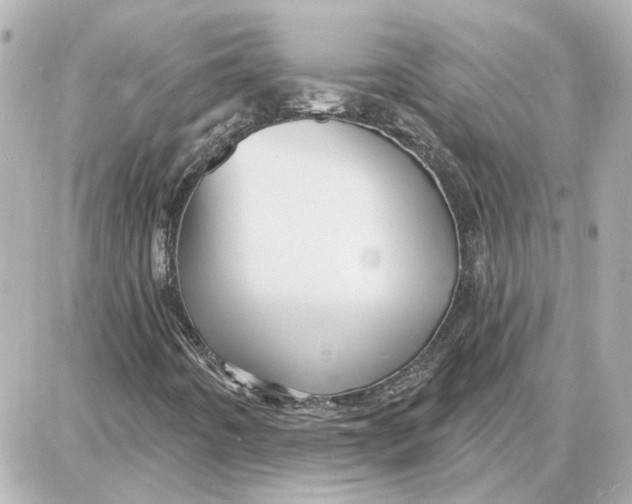 X0000087681442200705251632