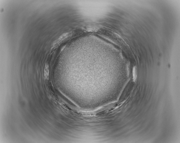 X0000087681443200705251632