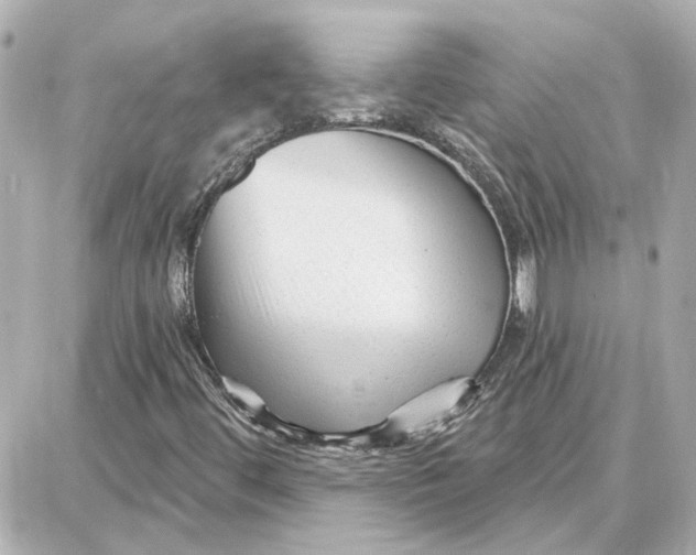 X0000087681444200705251632