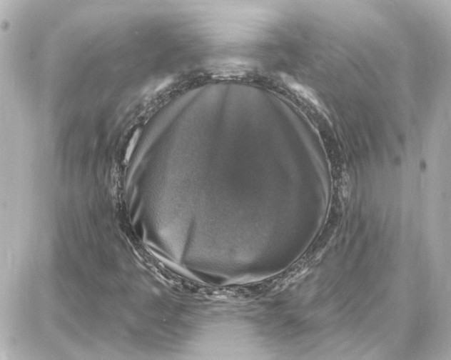 X0000087681445200705251632