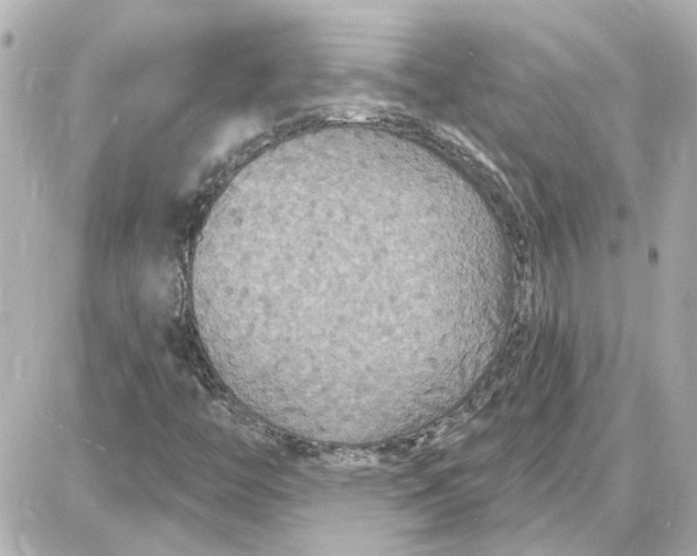 X0000087681446200705251632