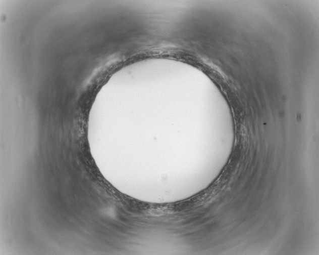 X0000087681447200705251632