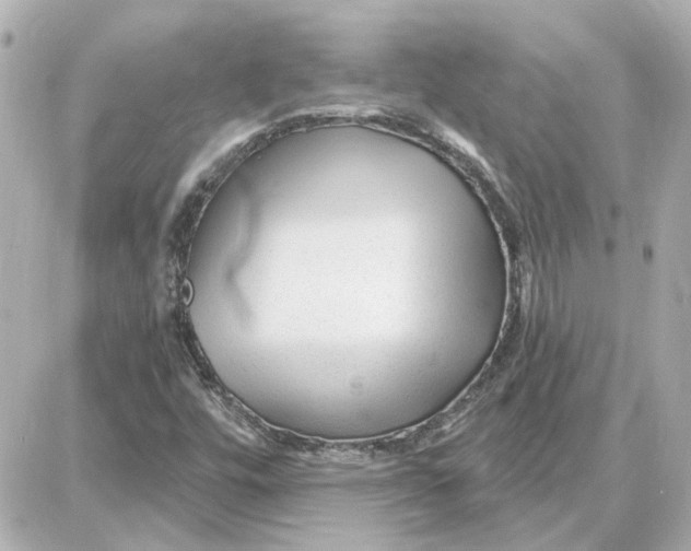 X0000087681448200705251632