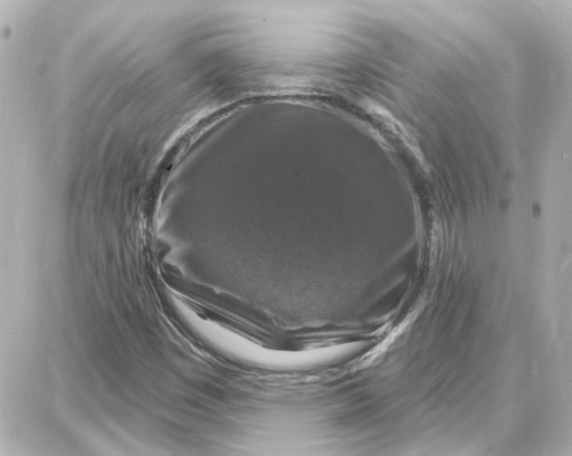 X0000087681449200705251632