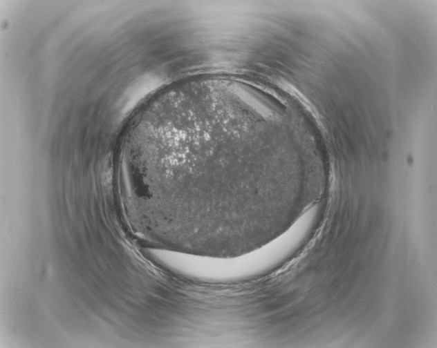 X0000087681450200705251632