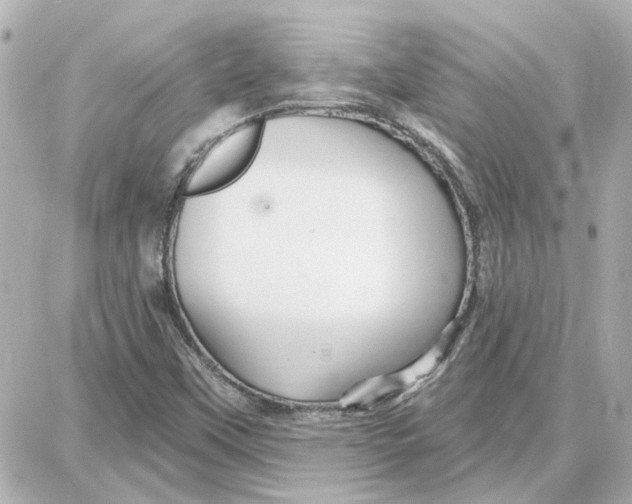 X0000087681451200705251632