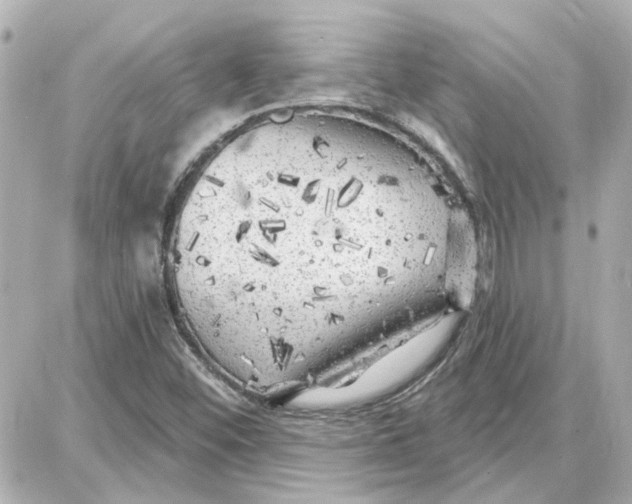 X0000087681452200705251632