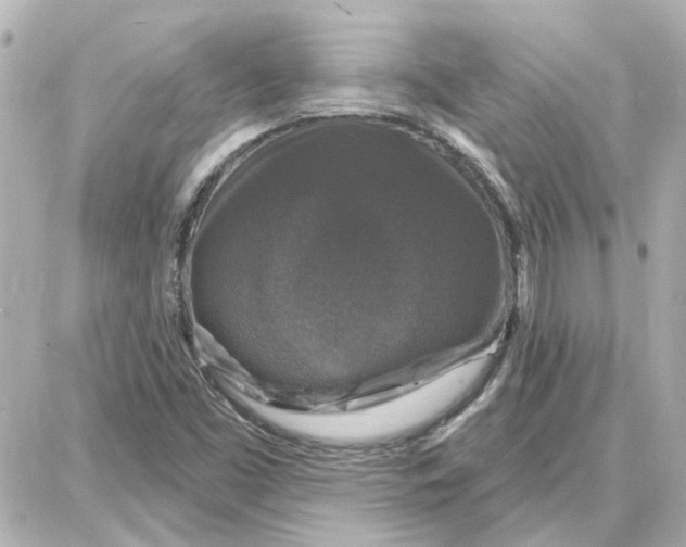 X0000087681453200705251632