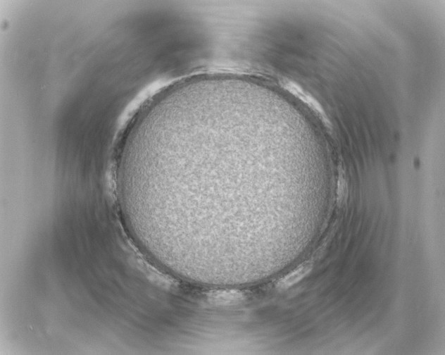 X0000087681454200705251632