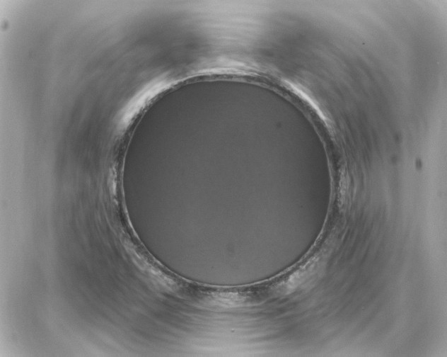 X0000087681455200705251632