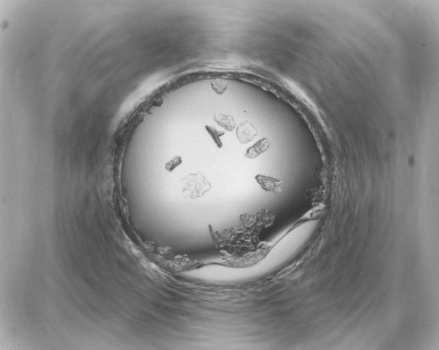 X0000087681456200705251632