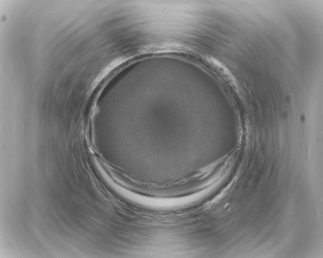 X0000087681457200705251632