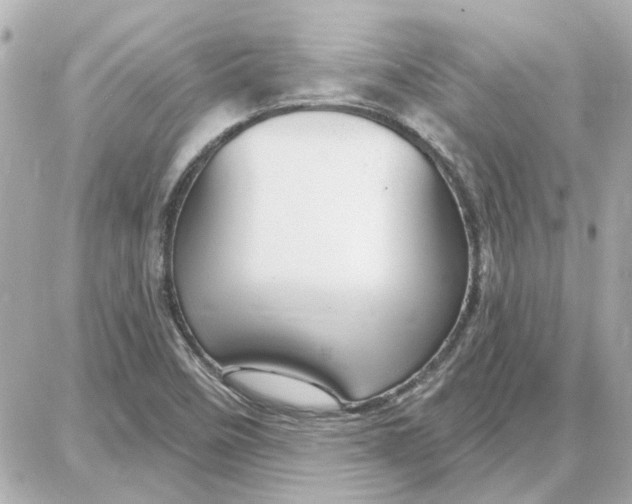 X0000087681458200705251632