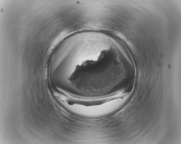 X0000087681459200705251632