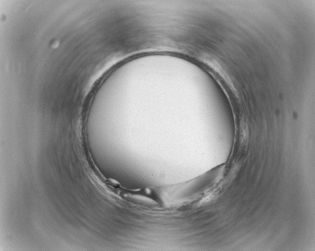 X0000087681460200705251632