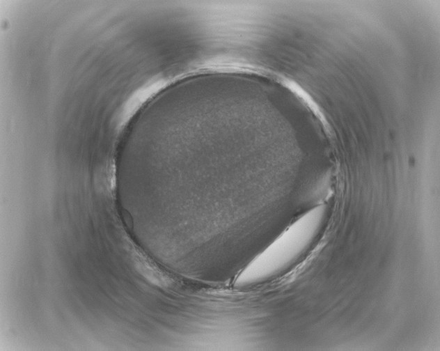 X0000087681461200705251632